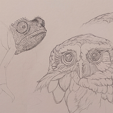 Mi proyecto del curso: Sketching diario como inspiración creativa. Projekt z dziedziny Trad, c, jna ilustracja, Sketching, Kreat, wność,  R, sunek i Sketchbook użytkownika José Subero - 08.10.2023