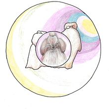 31Days 31Drawings 2023 day 7. Drawing project by sonechtka - 10.09.2023