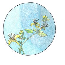 31Days 31Drawings 2023 day 8. Drawing project by sonechtka - 10.09.2023