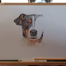 Mi proyecto del curso: Retratos de Mascotas en Lápices de Colores. Un proyecto de Ilustración tradicional e Ilustración naturalista				 de Nines López Ballester - 10.10.2023