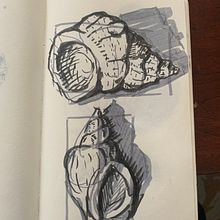 30 day sketchbook . Sketching project by Jenny - 10.11.2023