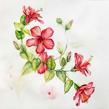 My project for course: Artistic Techniques for Illustrating Nature. Un progetto di Illustrazione tradizionale, Pittura ad acquerello, Pittura acrilica, Illustrazione botanica, Illustrazione con inchiostro e Disegno con matite colorate di Zuzana Zachová - 12.10.2023