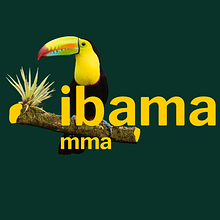 REDESIGN IBAMA - Projeto Pessoal. Een project van  Ontwerp,  Art direction, Grafisch ontwerp,  Creativiteit y Portfoliobeheer van Icaro Soriano - 27.09.2023