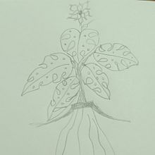 31Days 31Drawings2023. Un proyecto de Dibujo a lápiz de Diana X Castro Mina - 13.10.2023