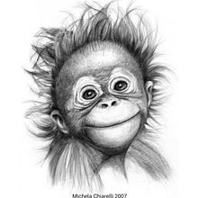 Il mio progetto del corso: Illustrazione sperimentale e creativa con china e acrilico. Un proyecto de Ilustración tradicional y Bellas Artes de MICHELA CHIARELLI - 14.10.2023