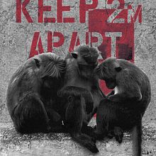 Mixed Media // COVID Monkeys in Sri Lanka. Ilustração digital, e Fotografia projeto de Finn Scott - 14.09.2023