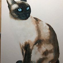 Retratos expresivos de animales en acuarela. Traditional illustration, Watercolor Painting, Realistic Drawing, and Naturalistic Illustration project by Yazk Barrera - 10.16.2023