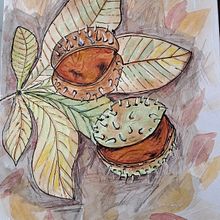 My project for course: Illustrating Nature: A Creative Exploration. Traditional illustration, Painting, Drawing, Watercolor Painting, Ink Illustration, and Naturalistic Illustration project by Kate - 10.17.2023