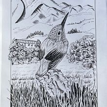 Mijn project van de cursus: Illustratie met een kroontjespen en inkt: leg de natuur vast. Sketching, Drawing, Artistic Drawing, Sketchbook, Ink Illustration, and Naturalistic Illustration project by marleen_e_albers - 10.17.2023