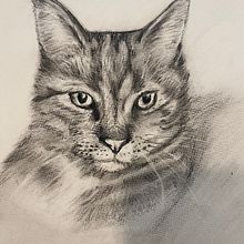 Mijn project van de cursus: Realistische dierenafbeeldingen in grafietpotlood. Projekt z dziedziny  Sztuki piękne, R, sunek ołówkiem,  R, sunek, R, sunek realist, czn, Ilustracja naturalist i czna użytkownika Lise - 17.10.2023