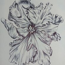 Mi proyecto del curso: Ilustración en sketchbook con bolígrafo: disfruta dibujando. Sketching, Drawing, Sketchbook & Ink Illustration project by CaTam - 10.18.2023