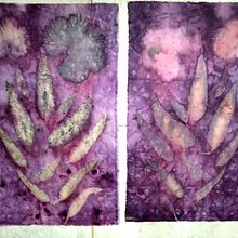 Mi proyecto del curso: Impresión botánica en textil y papel . Seni, Kerajinan, Desain Busana, DIY, Pencelupan Tekstil, Pencetakan Tekstil, Dan Desain Tekstil proyek oleh juliasimioli - 10.18.2023