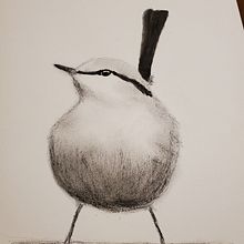 My project for course: Artistic Watercolor Techniques for Illustrating Birds. Traditional illustration, Watercolor Painting, Realistic Drawing, and Naturalistic Illustration project by trudywww - 10.19.2023