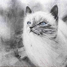 My project for course: Expressive Drawing with Charcoal. Un progetto di Belle arti, Disegno, Disegno di ritratti e Illustrazione naturalistica di Zuzana Zachová - 19.10.2023