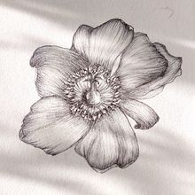 My project for course: Sketchbook Illustration with Pen: Embracing Mistakes. Sketching, Drawing, Sketchbook & Ink Illustration project by art.notabena - 10.19.2023