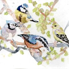 Mi proyecto del curso: Acuarela artística para ilustración de aves. Un progetto di Illustrazione tradizionale, Pittura ad acquerello, Disegno realistico e Illustrazione naturalistica di Monica Perez Avila - 17.10.2023