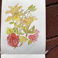 My project for course: Botanical Sketchbooking: A Meditative Approach. Traditional illustration, Sketching, Drawing, Watercolor Painting, Botanical Illustration, and Sketchbook project by y7dfcnx8rv - 10.21.2023