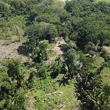 BELIZE KONTIKI FIVE PINE ACRE . Projekt z dziedziny Architektura krajobrazu i Design użytkownika Robbie Chen - 21.10.2023