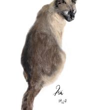 ARI - procreate 1er trabajo. Un progetto di Illustrazione digitale e Illustrazione tradizionale di Michel Loyer - 21.10.2023