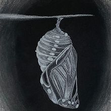TEG- Dibujo referente lápiz blanco sobre papel negro. Pencil Drawing, Drawing, Colored Pencil Drawing, and Realistic Drawing project by yaiza alcalá mateo - 10.21.2023