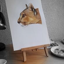 Mi proyecto del curso: Retratos expresivos de animales en acuarela. Projekt z dziedziny Malowanie akwarelą, R, sunek realist, czn, Ilustracja naturalist, czna, Trad, c i jna ilustracja użytkownika Marina Gonzalez - 21.10.2023