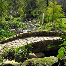 BELIZE KONTIKI FIVE PINE ACRE . Projekt z dziedziny Architektura krajobrazu, Kompoz i cje kwiatowe i botaniczne użytkownika Robbie Chen - 22.10.2023