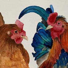 My project for course: Artistic Watercolor Techniques for Illustrating Birds. Un progetto di Illustrazione tradizionale, Pittura ad acquerello, Disegno realistico e Illustrazione naturalistica di Bori Kovacs - 22.10.2023