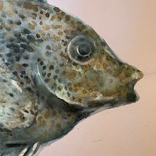 Mój projekt z kursu: Ilustracja morskich głębi w akwareli. Projekt z dziedziny Malowanie akwarelą, Trad, c, jna ilustracja,  Malarstwo, Ilustracja naturalist i czna użytkownika Aneta Kura-Majek - 24.10.2023