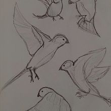 DA- esbossos animal . Pencil Drawing project by Laura Cortés - 10.24.2023