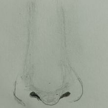 31Days 31Drawings2023. Un proyecto de Dibujo a lápiz de Diana X Castro Mina - 25.10.2023