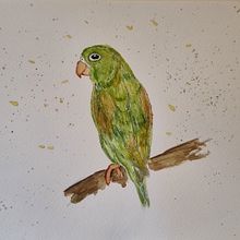 Meu projeto do curso: Técnicas expressivas de aquarela para ilustração de pássaros. Ilustração tradicional, Pintura em aquarela, Desenho realista e Ilustração naturalista projeto de Gislaine Vogel - 25.10.2023