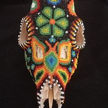 Crani de cabirol decorat amb tècnica huichol - TR Ein Projekt aus dem Bereich H, werk und Skulptur von Gemma Cardenal Giménez - 25.10.2023