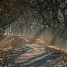 Mi proyecto del curso: Un viaje hacia adentro . Un proyecto de Escritura, Narrativa y Escritura creativa de neymarcela - 24.10.2023
