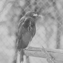 Fotografía2-Safari. Un progetto di Fotografia di Aitana Viu G. - 26.10.2023