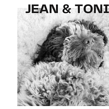 Il mio progetto del corso: Introduzione alla fotografia di cani - JEAN & TONIK Ein Projekt aus dem Bereich Fotografie, Porträtfotografie, Studiofotografie, Dokumentarfotografie, Lifest, le-Fotografie und Interieurfotografie von Lucia Di Pierro - 01.10.2023