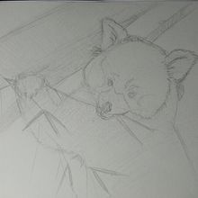 D.A.-2BA. Un progetto di Disegno di Aitana Viu G. - 27.10.2023