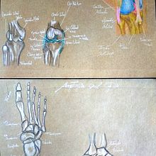 Mi proyecto del curso: Dibujo anatómico de extremidades, manos y pies . % Marisol Velasquez tarafından hazırlanan Güzel sanatlar, Eskiz çizimi, Kalem Çizimi, Çizim, Portre Çizimi, Gerçekçi Çizim, Sanatsal Çizim, Eskiz defteri, Şekil Çizimi, Mürekkep İllüstras, Ve onu projesi - 10.27.2023