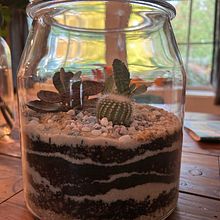 My project for course: Plant Art: Create Your Own Open Terrarium . Interior Design, L, scape Architecture, Decoration, DIY, Floral, and Plant Design project by caciadaye - 10.28.2023