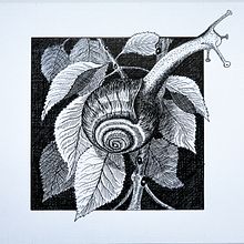 My project for course: Dip Pen and Ink Illustration: Capturing The Natural World. Sketching, Drawing, Artistic Drawing, Sketchbook, Ink Illustration, and Naturalistic Illustration project by mark_2000 - 10.29.2023
