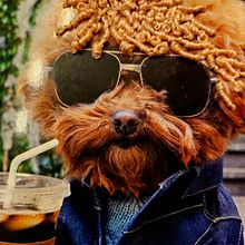 Roccoco. Arts, and Crafts project by Barbara Daley - 10.29.2023