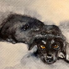 My project for course: Expressive Animal Portraits in Watercolor. Ilustração tradicional, Pintura em aquarela, Desenho realista e Ilustração naturalista projeto de Tiina - 30.10.2023