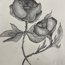 Rosas a Grafito Ein Projekt aus dem Bereich Traditionelle Illustration von Pau Forte - 31.10.2023