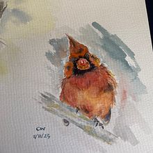 My project for course: Artistic Watercolor Techniques for Illustrating Birds. Traditional illustration, Watercolor Painting, Realistic Drawing, and Naturalistic Illustration project by wchiah - 10.28.2023