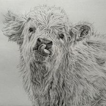 My project for course: Naturalistic Animal Drawing with Graphite Pencil. Projekt z dziedziny Trad, c, jna ilustracja, R, sunek ołówkiem,  R, sunek, Ilustracja naturalist i czna użytkownika marieclaire98 - 06.04.2024
