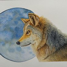 Mi proyecto del curso: Retratos expresivos de animales en acuarela. Traditional illustration, Watercolor Painting, Realistic Drawing, and Naturalistic Illustration project by Ezequiel Ramírez - 11.03.2023