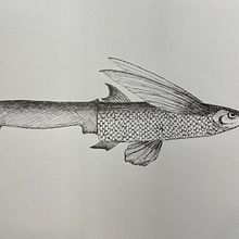 Mon projet du cours : Illustration surréaliste au feutre fin. Traditional illustration, Pencil Drawing, Drawing, Realistic Drawing, Artistic Drawing & Ink Illustration project by Sophie Ponti - 11.03.2023