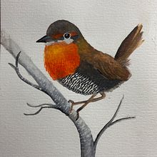 Bitacora de aves  Ein Projekt aus dem Bereich Aquarellmalerei von eael1996 - 04.11.2023