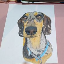 Mi proyecto del curso: Retratos de Mascotas en Lápices de Colores Ein Projekt aus dem Bereich Traditionelle Illustration und Naturalistische Illustration von Blanco Daniela - 04.11.2023