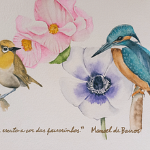 Meu projeto do curso: Técnicas expressivas de aquarela para ilustração de pássaros. Un proyecto de Ilustración tradicional, Pintura a la acuarela, Dibujo realista e Ilustración naturalista				 de Edi Assis - 04.11.2023