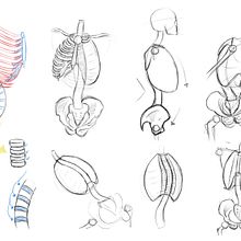 My project for course: Anatomical Drawing of Limbs, Hands and Feet. Un projet de Beaux Arts, Esquisse , Dessin au cra, on, Dessin, Dessin de portrait, Dessin réaliste, Dessin artistique, Carnet de croquis, Dessin anatomique et Illustration à l'encre de Serena Sawalha - 04.11.2023